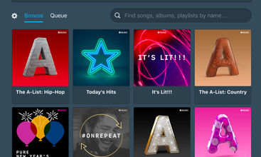ThinMusic screenshot