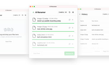 AI Renamer screenshot