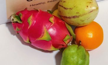 GetVegetable.com screenshot