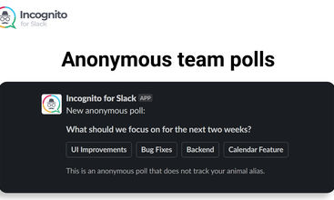 Incognito for Slack screenshot
