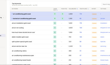 SEO Cactus screenshot