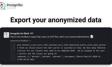 Incognito for Slack screenshot