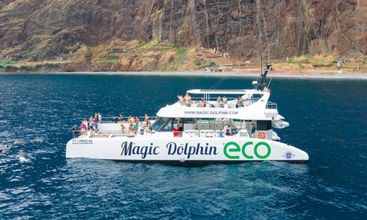 Tripnly Madeira City Pass™ screenshot
