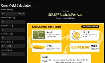 Rated Calculator screenshot