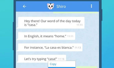Bilingua screenshot