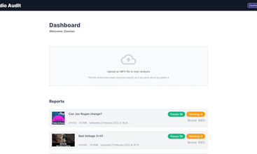 Audio Audit screenshot