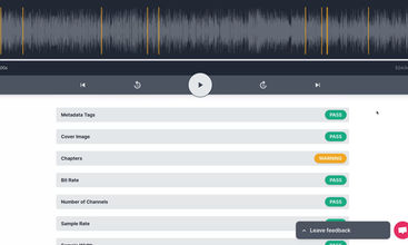 Audio Audit screenshot