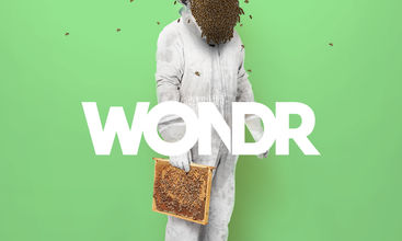 WONDR screenshot