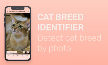 Meowly - Cats & Kittens screenshot
