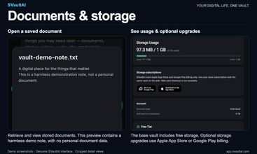SVaultAI screenshot