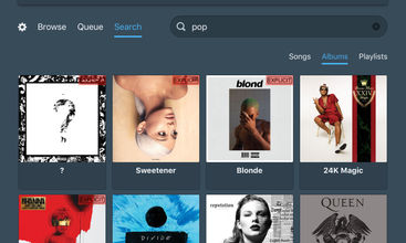 ThinMusic screenshot