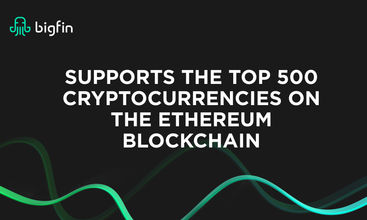 Bigfin Finance screenshot