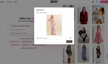 Drezily screenshot