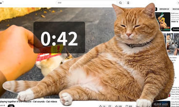 cat gatekeeper screenshot