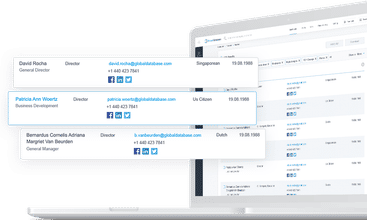 Company data base screenshot