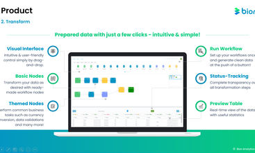 Bion Analytics screenshot