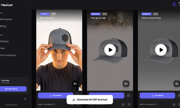 VibeCast screenshot