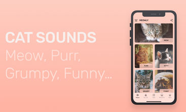 Meowly - Cats & Kittens screenshot