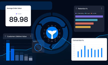 Intempt screenshot
