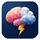 The Brain