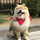 Dexter Chow