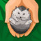 fiverr worker
