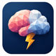 The Brain