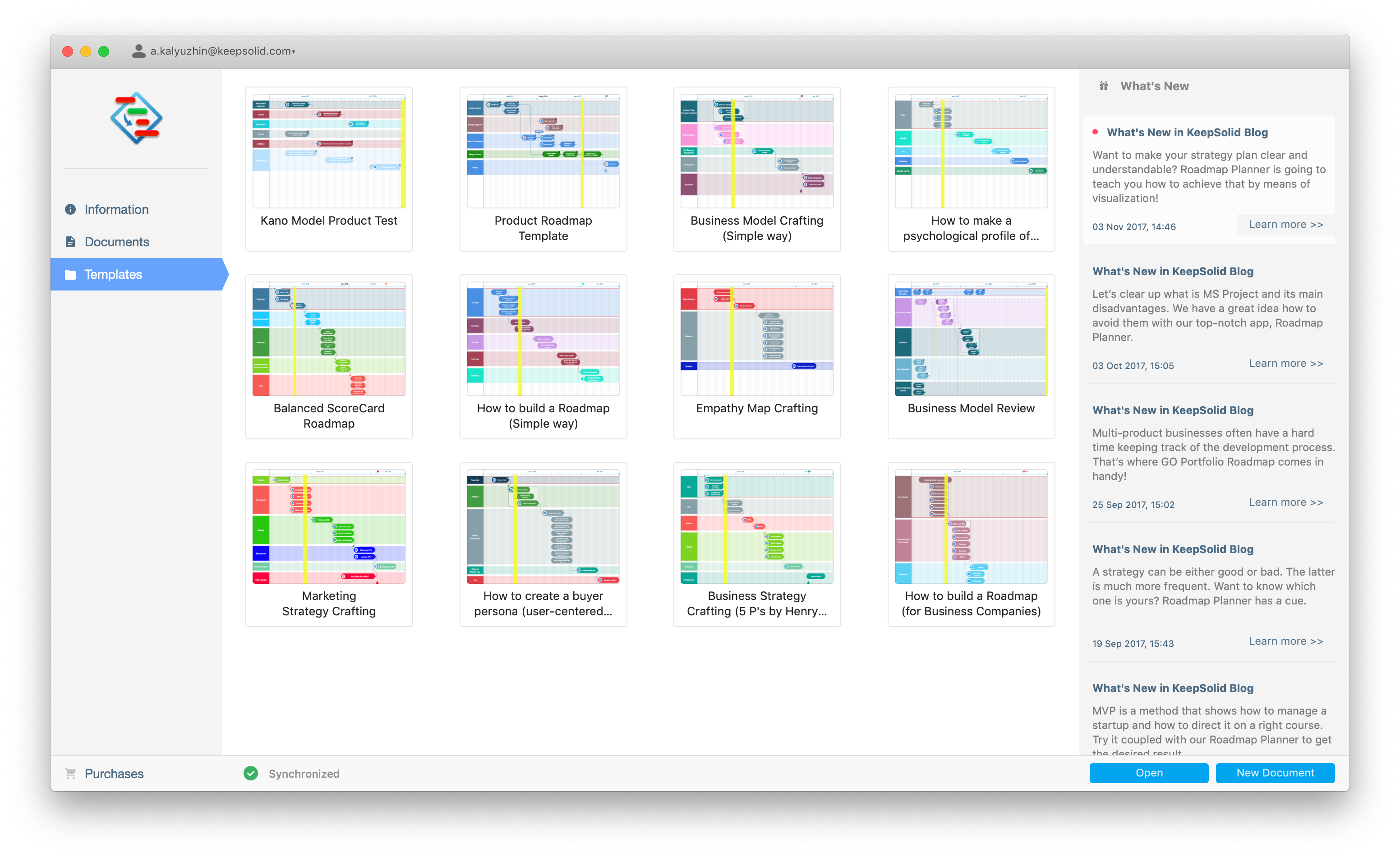 roadmap planner features