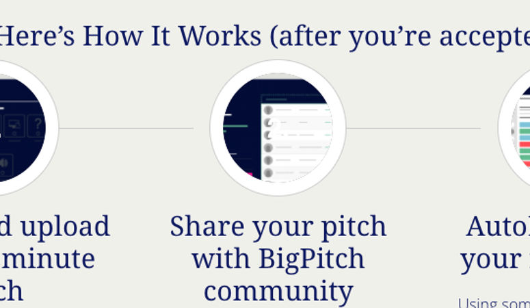 BigPitch Community