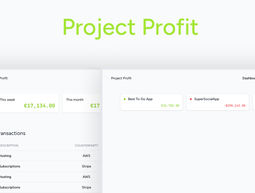 Project Profit