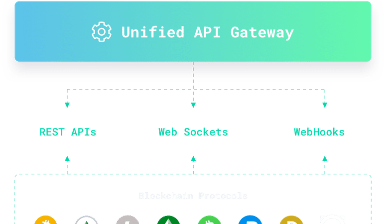 difference between ntls safenet crypto api