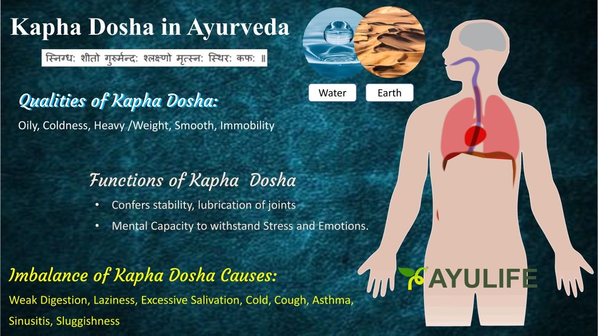 Kapha-Dosha-in-Ayurveda
