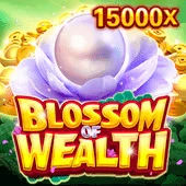 BBSLOT PC
