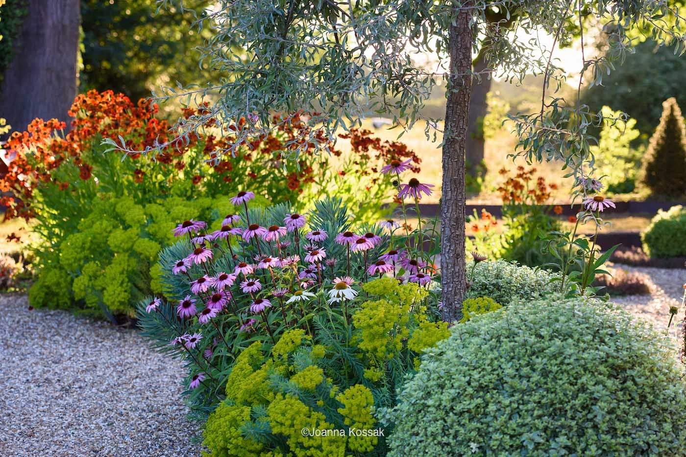 Garden Designer Esher Surrey Landscape Garden Design
