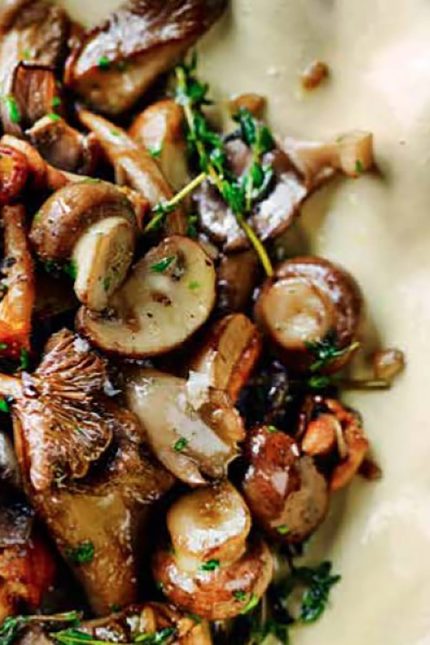 Champinones Al Ajillo Recipe Wild Mushrooms Wine Recipe Spanish Restaurants Tapas Bar Taste of Spain Informal Dining