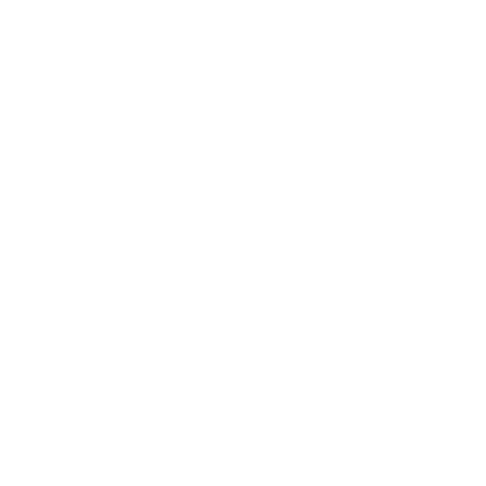 Meghalayan Age Store's logo