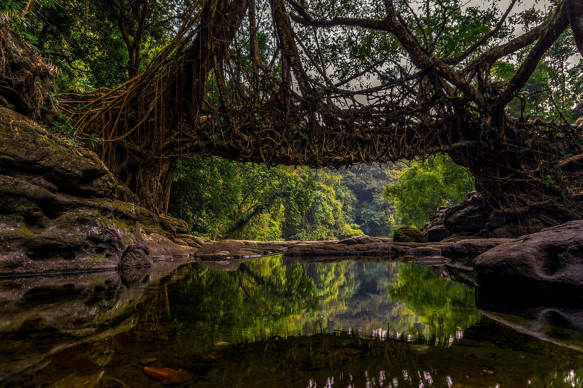 Meghalaya Tourisms Image