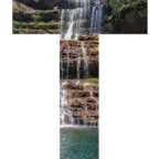 Tourism & Travel