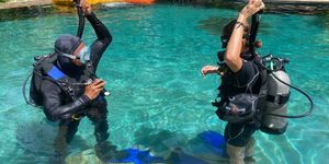 362fdda8-44e0-42ef-b6eb-da84e5dffc26/dive-candidasa-15.jpeg