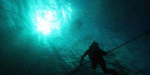 D16Xx0Cy2Ad3GJdpBSL92Mg9NQP2/cb30364b-f2c1-483b-99b9-55e886c49b72/Dive-Trips-1.jpg