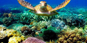 D16Xx0Cy2Ad3GJdpBSL92Mg9NQP2/e2374aa3-882b-482e-96a5-4cf4957a2d83/divers-2.jpg