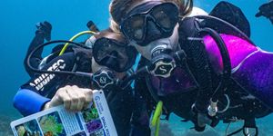 b1922e41-cace-40c6-b622-9e2c3a929063/crystal_divers_Conservation_divemaster_internship_bali_indonesia-1024x794.jpeg