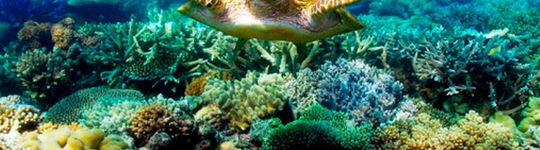 D16Xx0Cy2Ad3GJdpBSL92Mg9NQP2/e2374aa3-882b-482e-96a5-4cf4957a2d83/divers-2.jpg