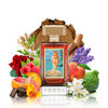 Birth of Venus - Argos - 1 - Scentfied