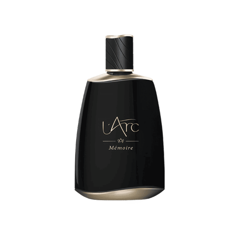 Memoire EDP - L'arc