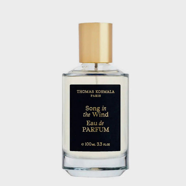 Song In The Wind EDP - Thomas Kosmala 