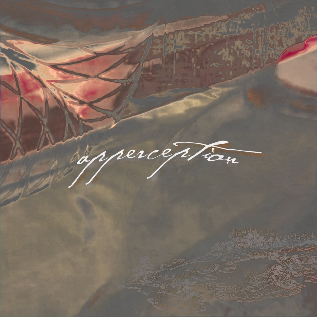 schzstrg - apperception — schzstrg (2024)
