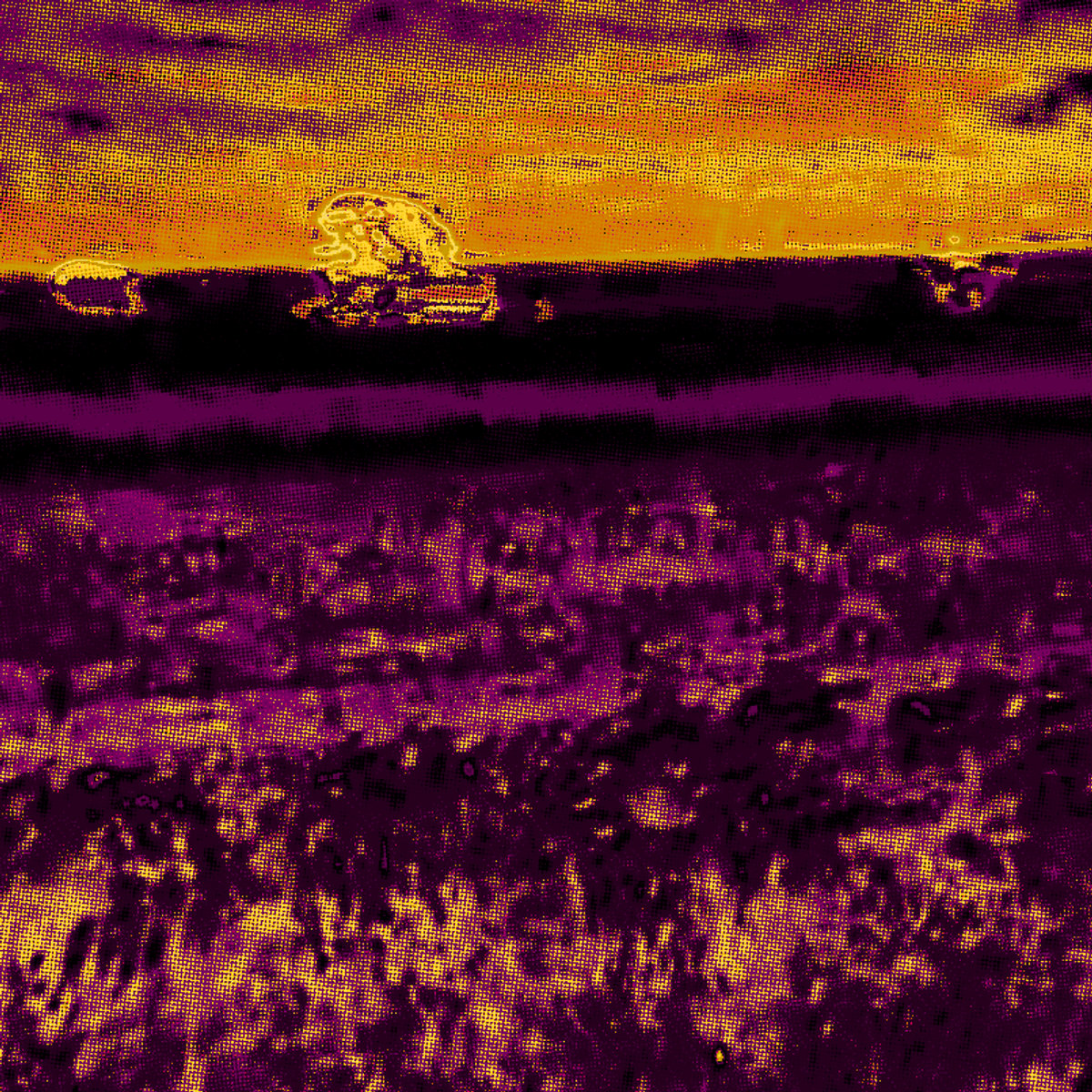 schzstrg - in the field — schzstrg (2022)