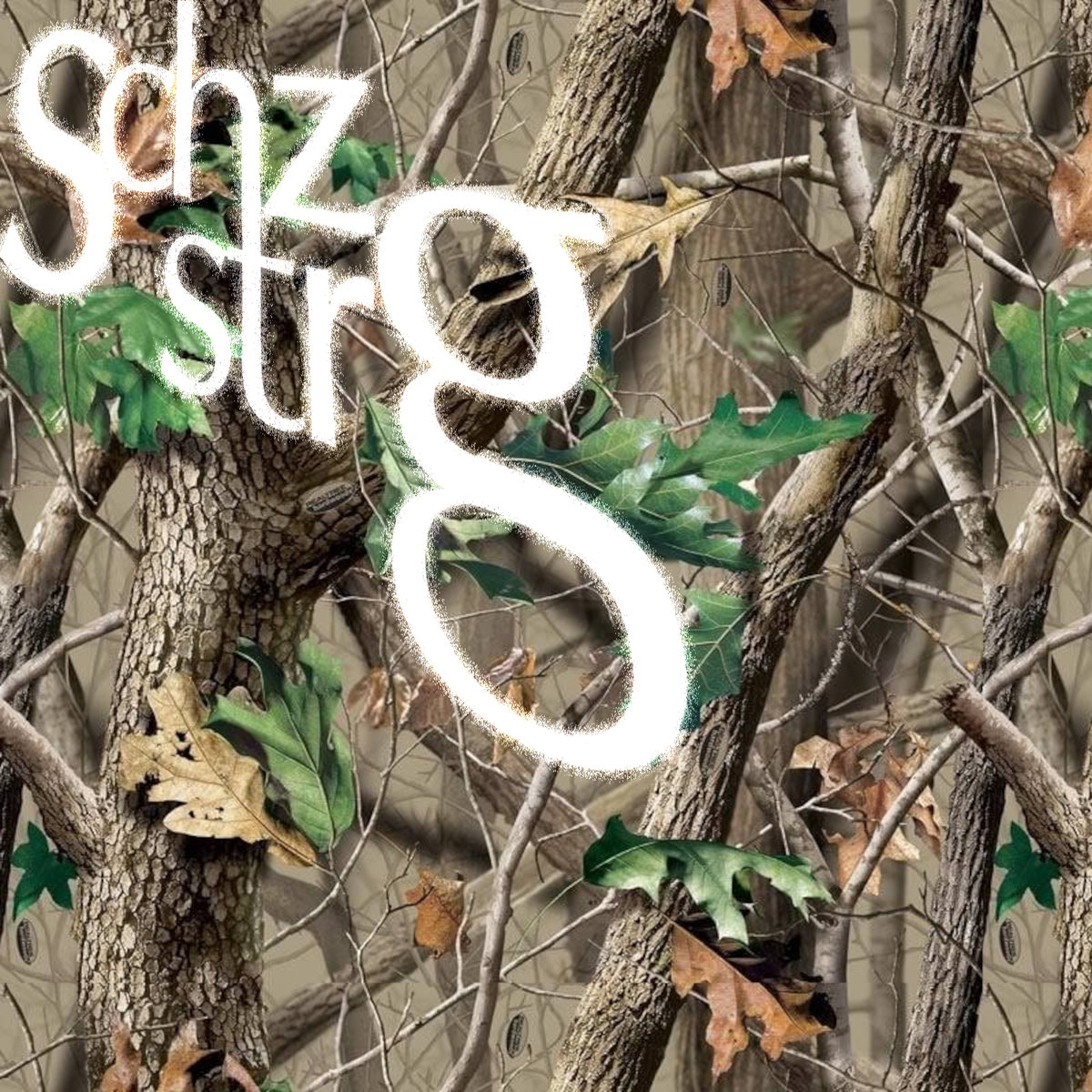 schzstrg - in the woods — schzstrg (2024)