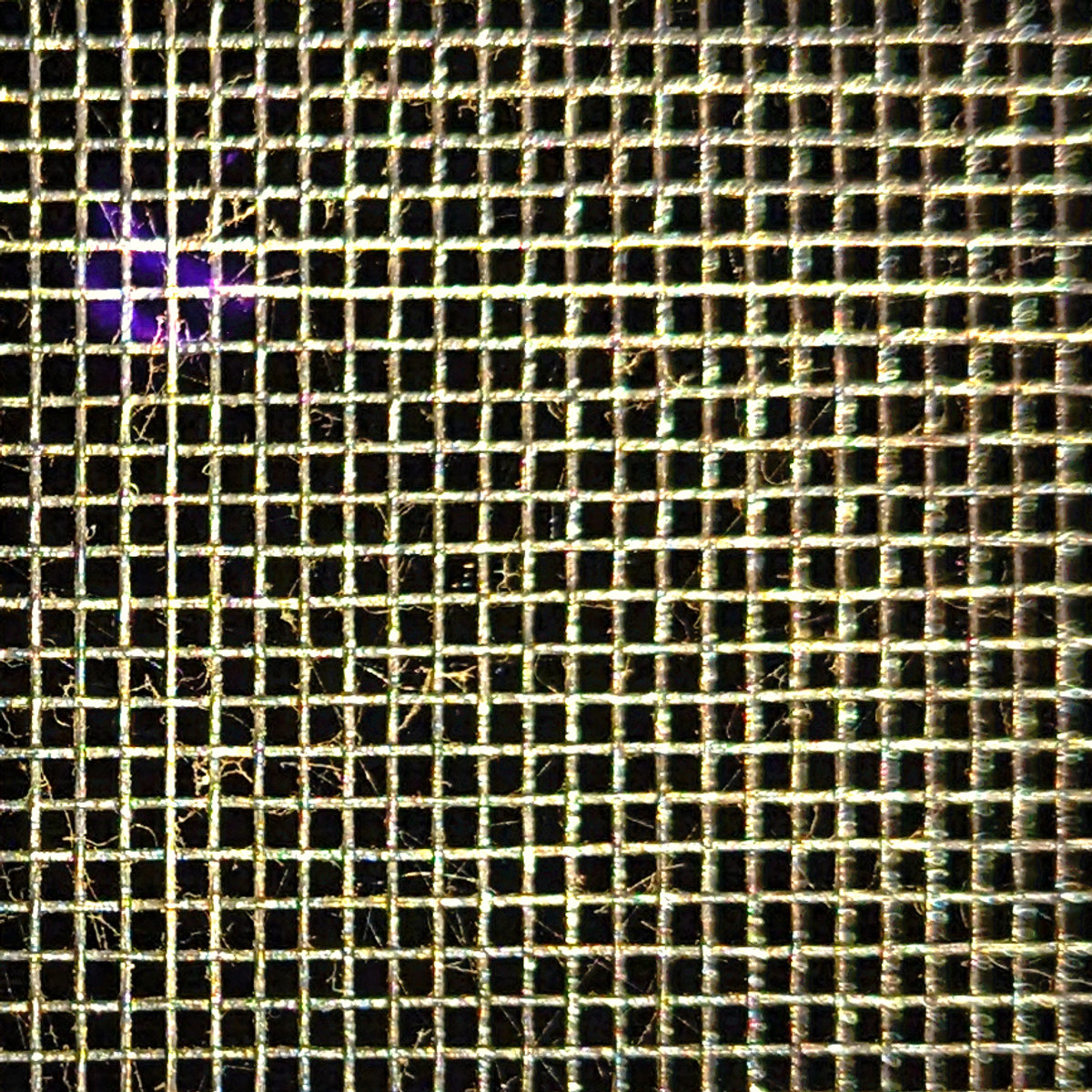 schzstrg - schⓘz∞utl∞kꙨnlifë — schzstrg (2024)